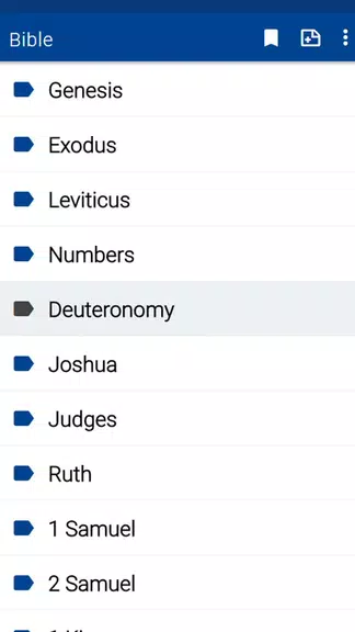 Spurgeon Bible Commentary Screenshot 1
