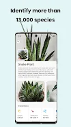 PlantCam: AI Plant Identifier Zrzut ekranu 2