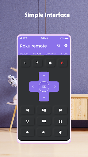 Remote Control for Roku TVs Captura de pantalla 3