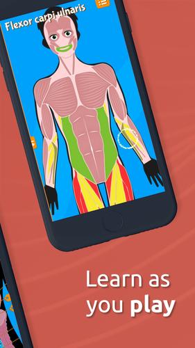 Human Anatomy - Body parts 螢幕截圖 2