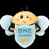 BNE Guard VPN by BNESIM