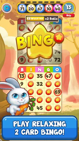 Bingo Pets 螢幕截圖 1