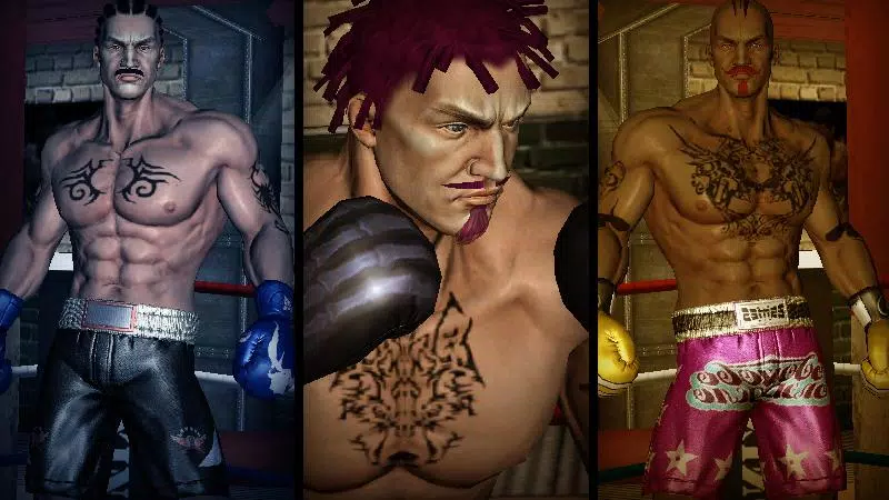 Punch Boxing 3D Ekran Görüntüsü 2