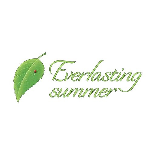 Everlasting Summer