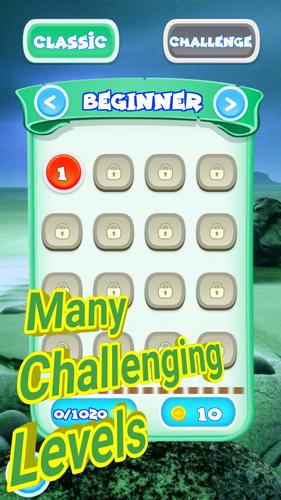 Classic Tetra Block ภาพหน้าจอ 2