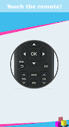 Remote for Hisense Smart TV Screenshot 0