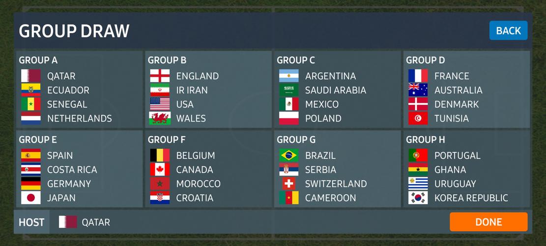 World Football Simulator ဖန်သားပြင်ဓာတ်ပုံ 1