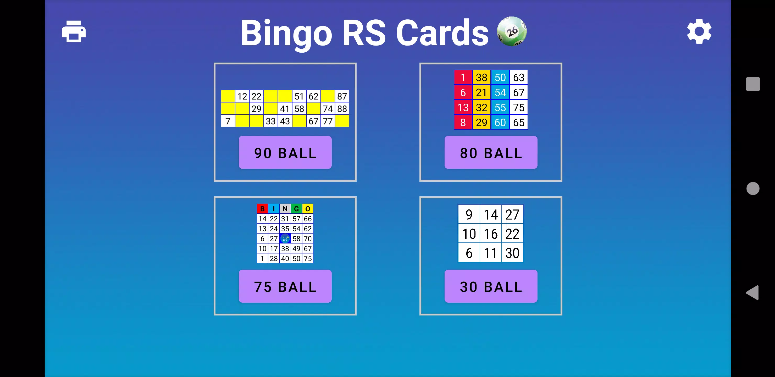 Bingo RS Cards Screenshot 0