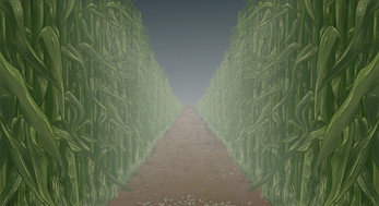 The Maize Maze Screenshot 1