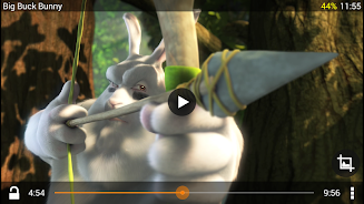 VLC for Android beta Screenshot 2