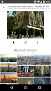 ImageSearchMan - Image Search Screenshot 2