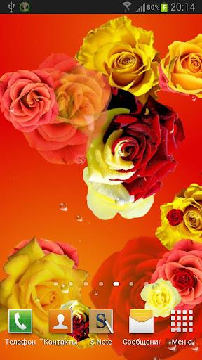 Roses live wallpaper স্ক্রিনশট 2