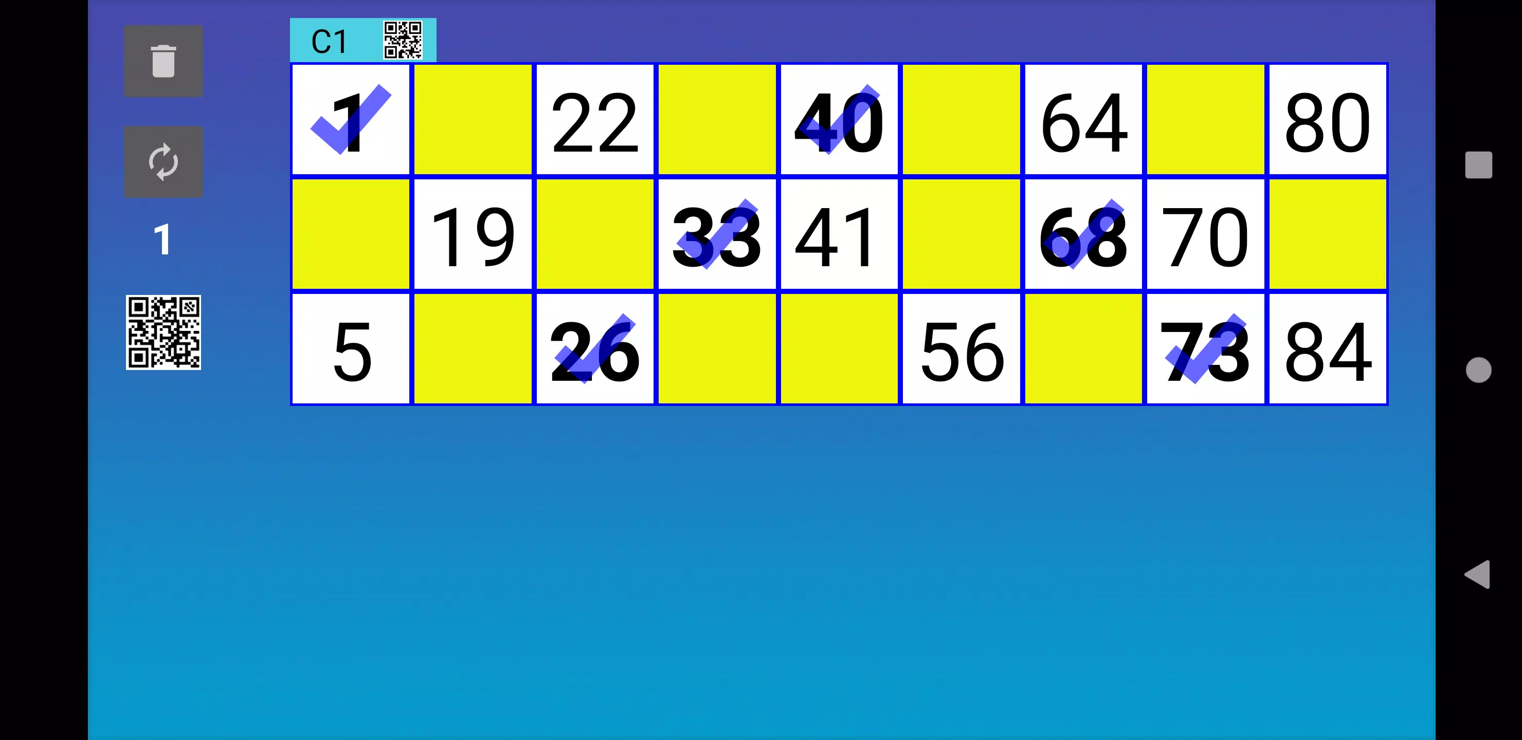 Bingo RS Cards Screenshot 1