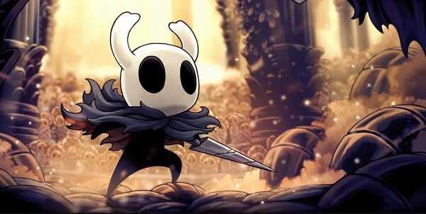 Hollow Knight Mod スクリーンショット 0