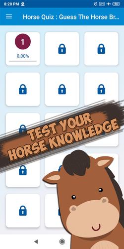 Schermata Guess the horse breed 1