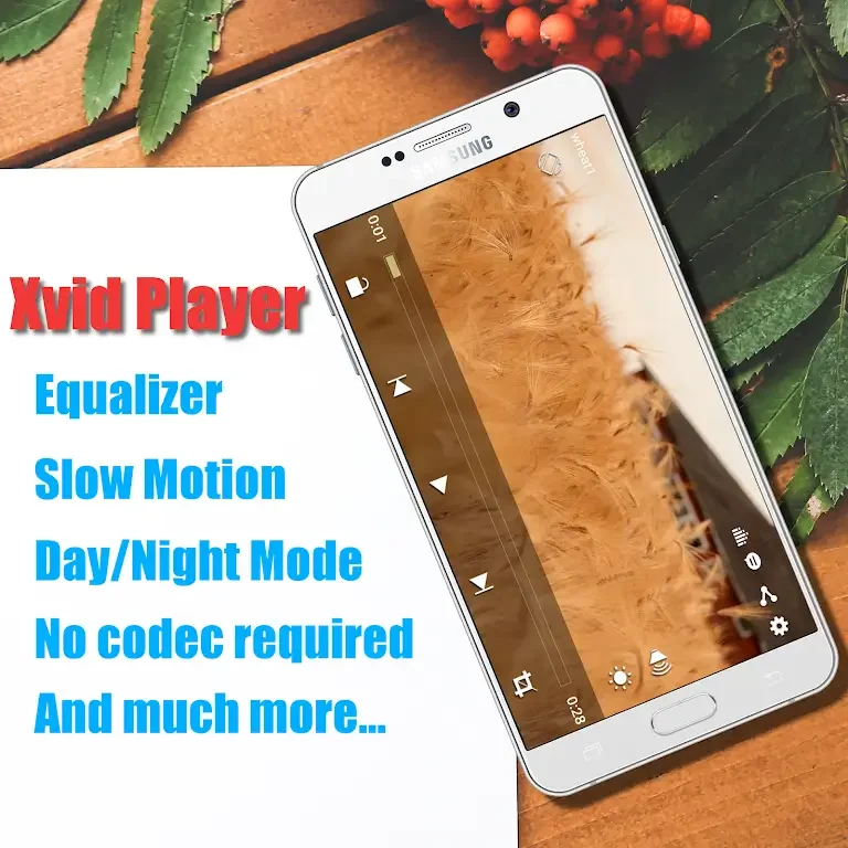 Xvid Video Codec Player स्क्रीनशॉट 0