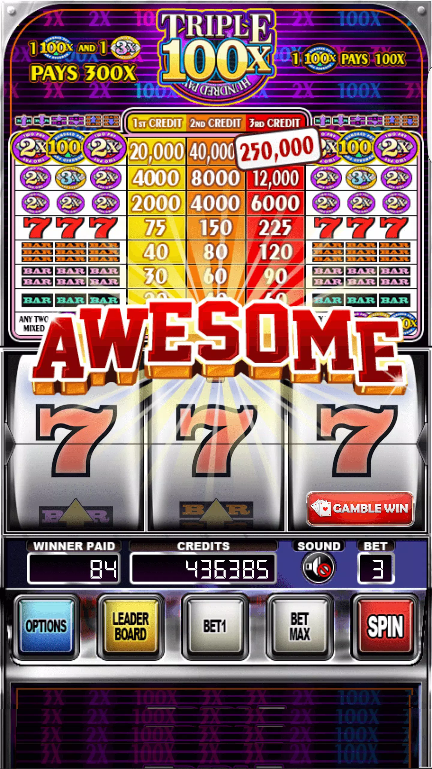 Double Wild Slots 스크린샷 2