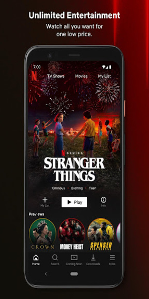 Netflix mod apk