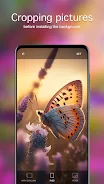 Butterfly Wallpapers 4K Screenshot 3