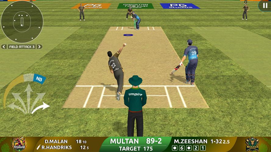 Cricket Game: Pakistan T20 Cup Capture d'écran 1