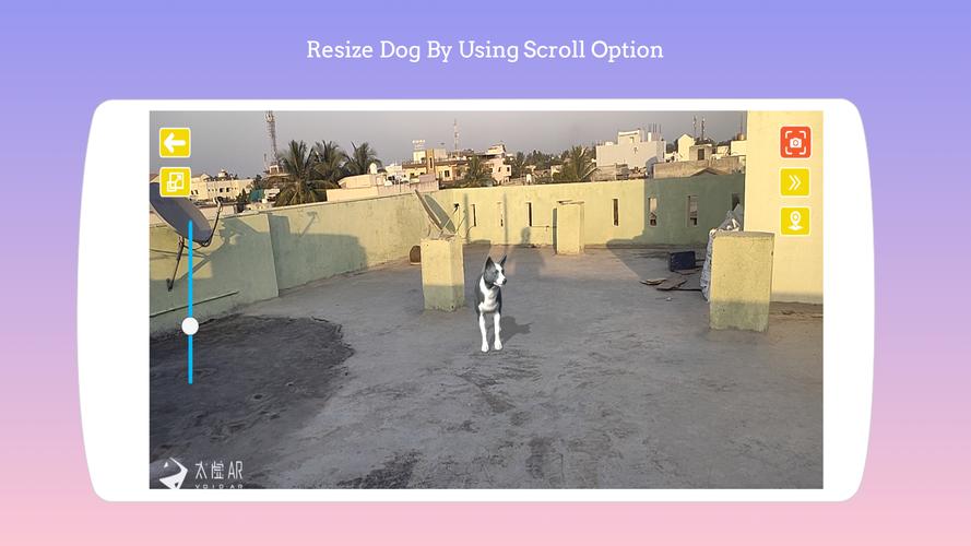 Dog play Ar 螢幕截圖 2