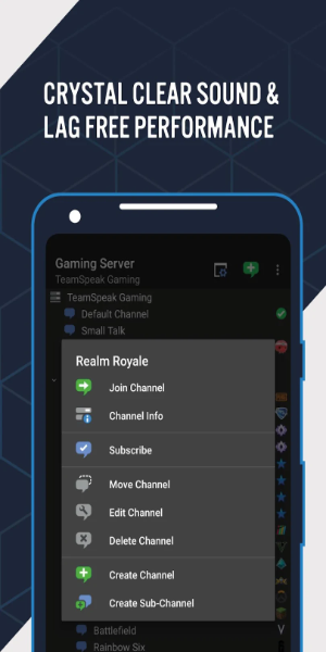 Schermata TeamSpeak 3 - Voice Chat 1