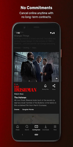 Netflix mod apk