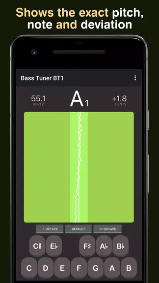 Bass Tuner BT1 螢幕截圖 1