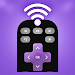 Roku TV Remote Controller