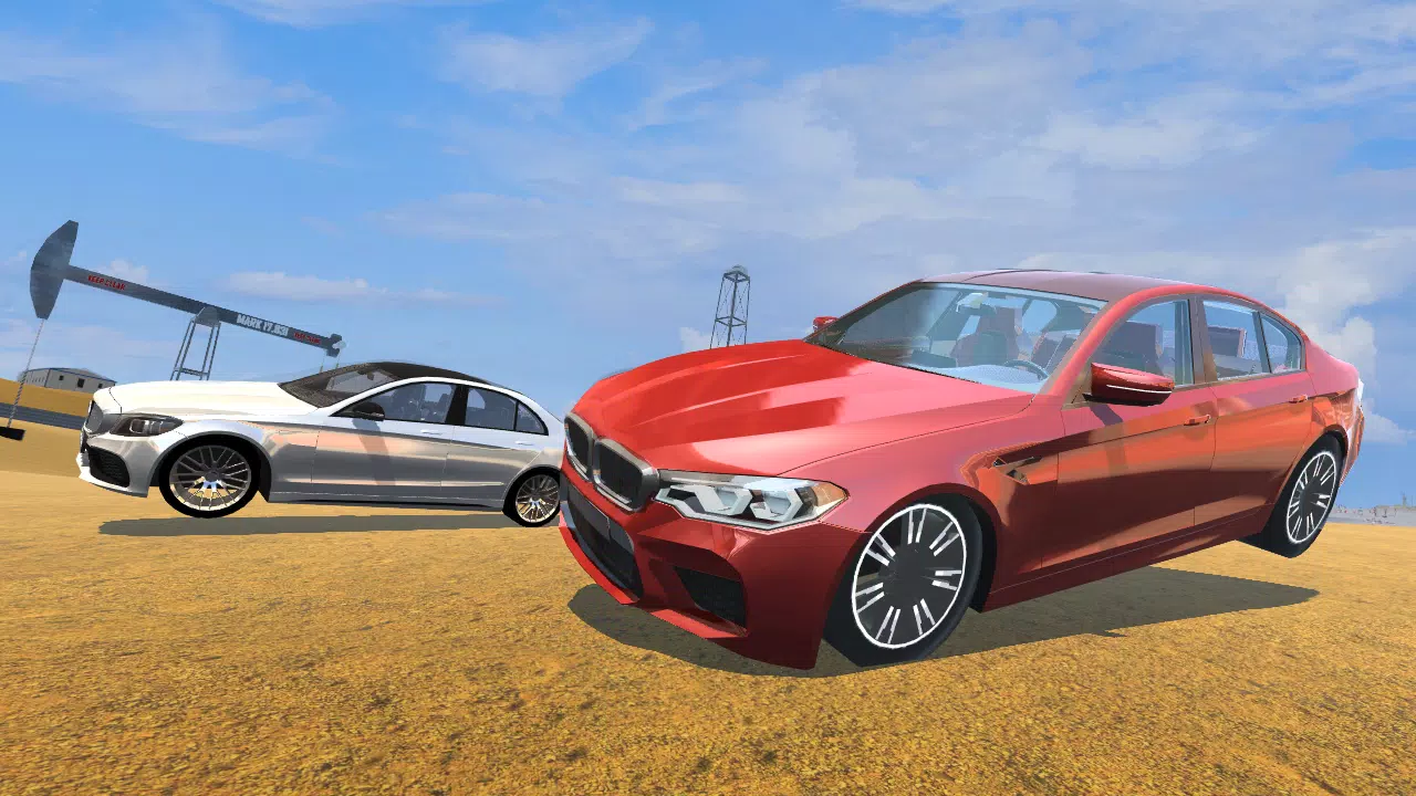 CarSim M5&C63 スクリーンショット 3