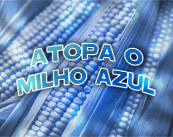 Atopa o Milho Azul Zrzut ekranu 0