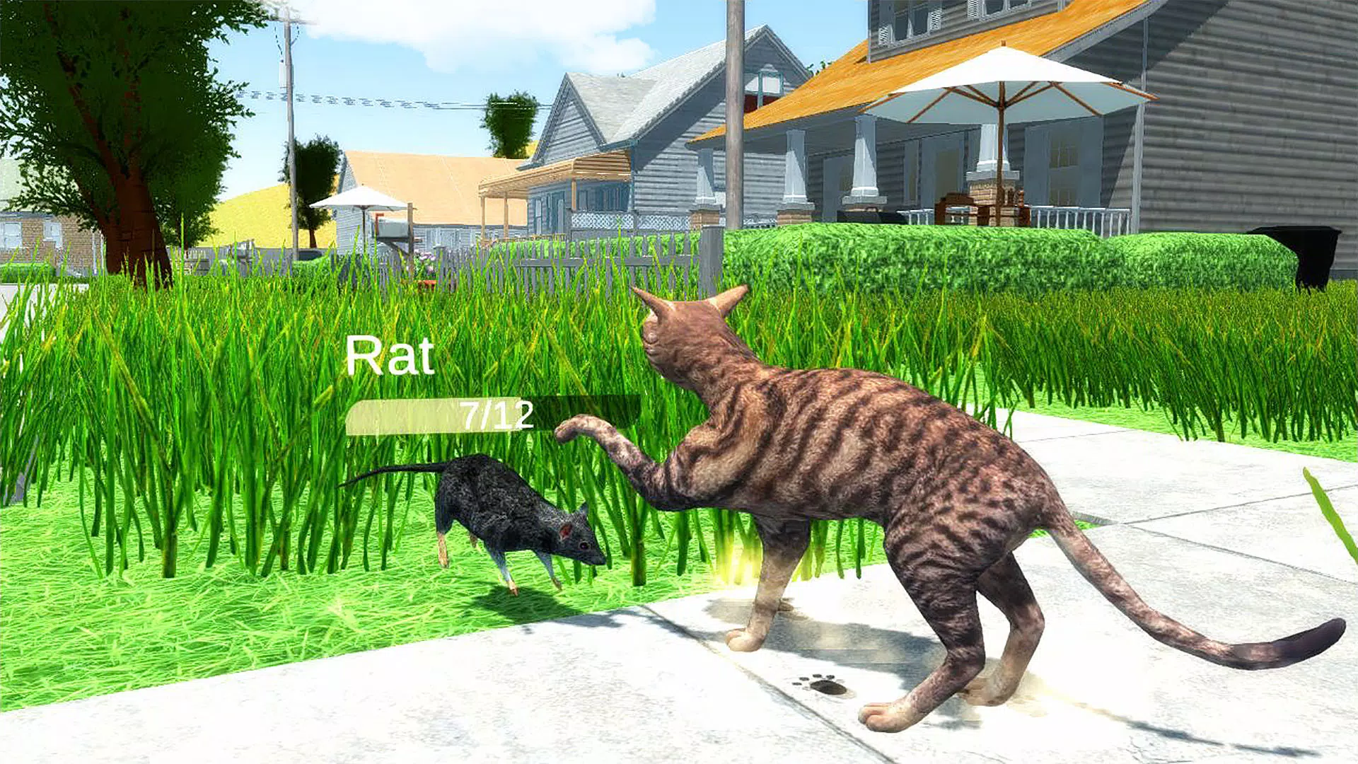 The Cat Screenshot 2