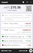 Testnet Wallet Screenshot 0