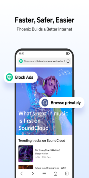 Phoenix Browser স্ক্রিনশট 0