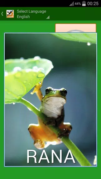 Memory Animal for Kids স্ক্রিনশট 2