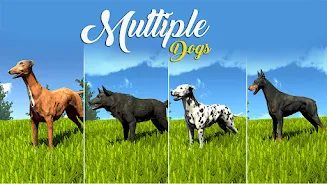 Wild Dog Pet Simulator Games スクリーンショット 0