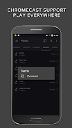 Pulsar Music Player ဖန်သားပြင်ဓာတ်ပုံ 3