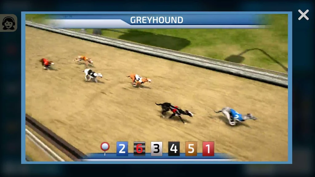 Dogs3D Races Betting स्क्रीनशॉट 1