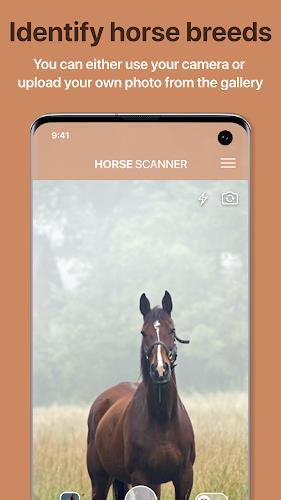 Horse Scanner Captura de pantalla 0