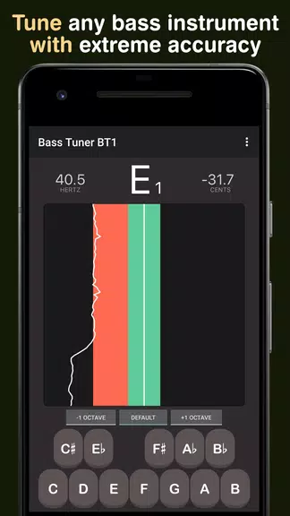 Bass Tuner BT1 螢幕截圖 0