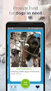 feed a dog: animal welfare Screenshot 2