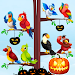 Bird Sort Color - Puzzle Games