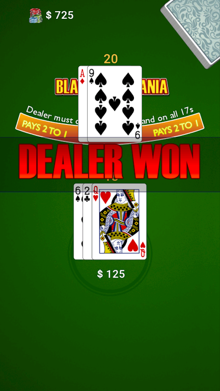 BlackJack Mania 螢幕截圖 1