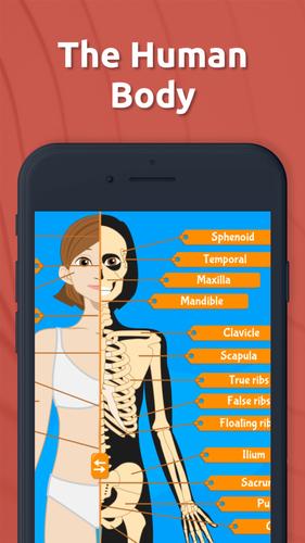 Human Anatomy - Body parts 螢幕截圖 0