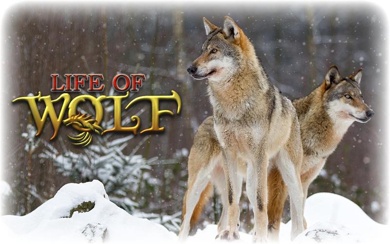 Wolf Life Simulator 스크린샷 0
