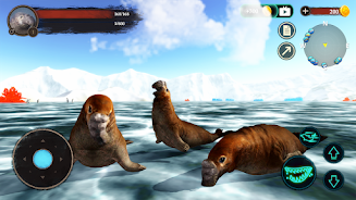 The Seal Elephant Screenshot 3