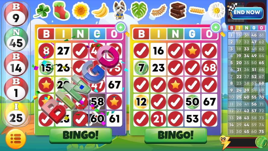 Bingo Classic Screenshot 2