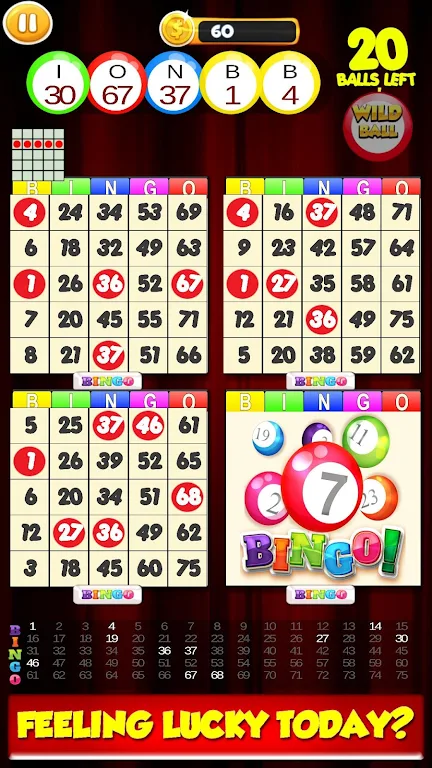 New Bingo Cards Game Free 螢幕截圖 0