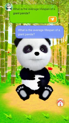 Talking Panda Screenshot 1