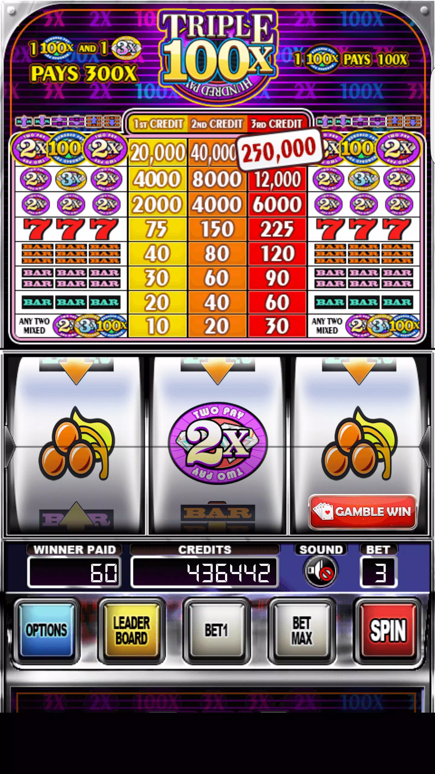 Double Wild Slots 스크린샷 1